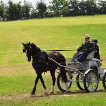 Fahrertreffen-2015-94