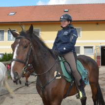 Pferdesegnung-2015-004