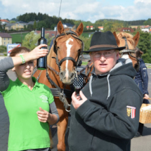 Pferdesegnung-2015-032
