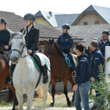Pferdesegnung-2015-059