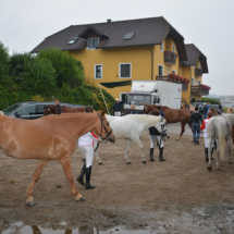 TREC-LM-Altenfelden-2015-01