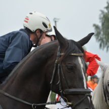 TREC-LM-Altenfelden-2015-16