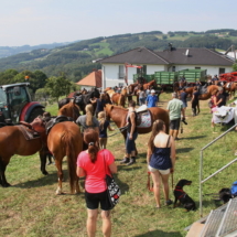 2019-08-25 Hof Roas Katzgraben AJ_032