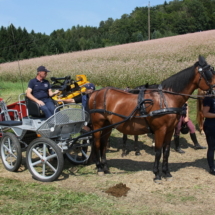 2019-08-25 Hof Roas Katzgraben AJ_044