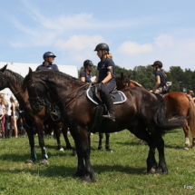 2019-08-25 Hof Roas Katzgraben AJ_046